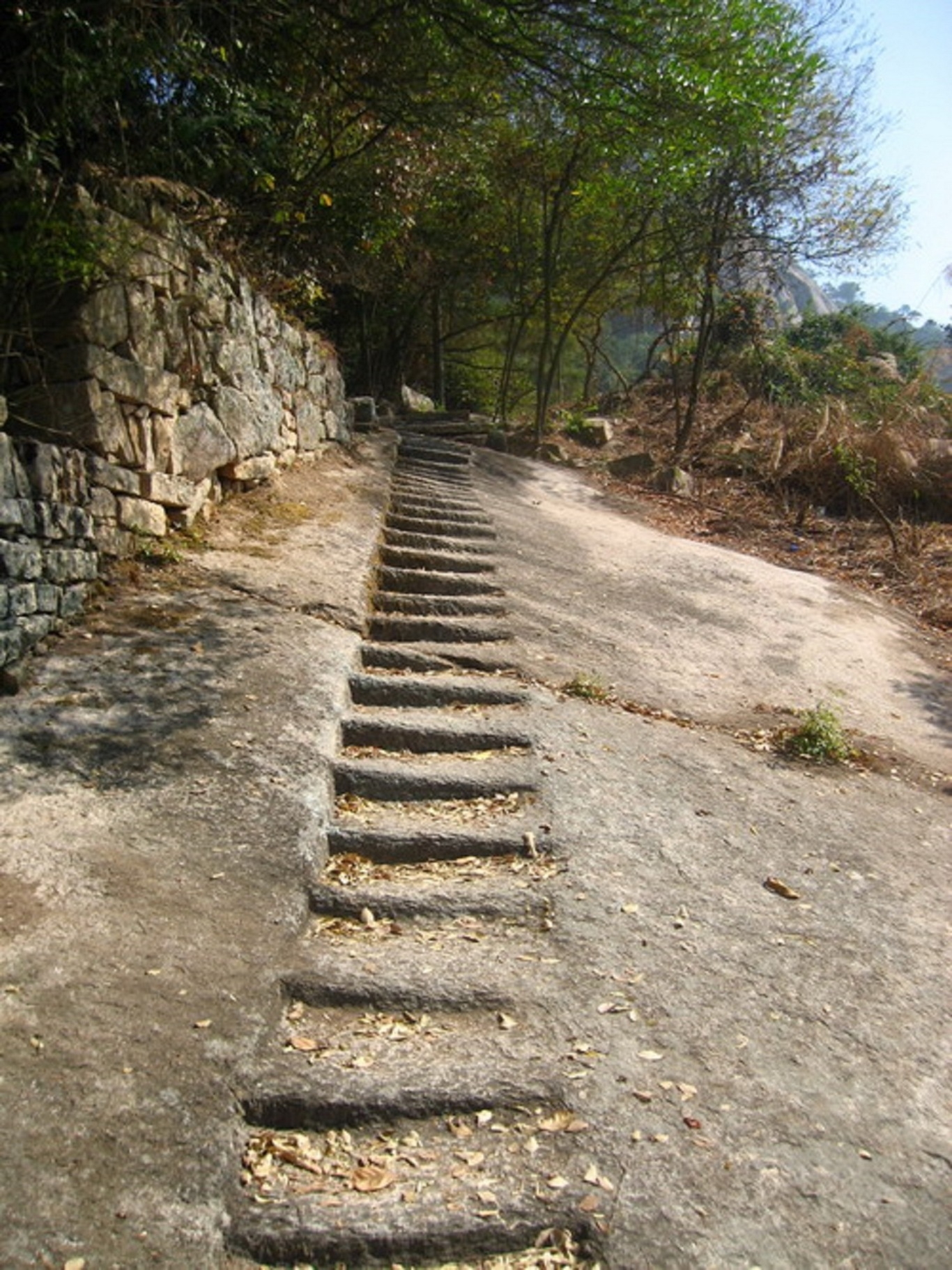 天成山古道遗址.jpg