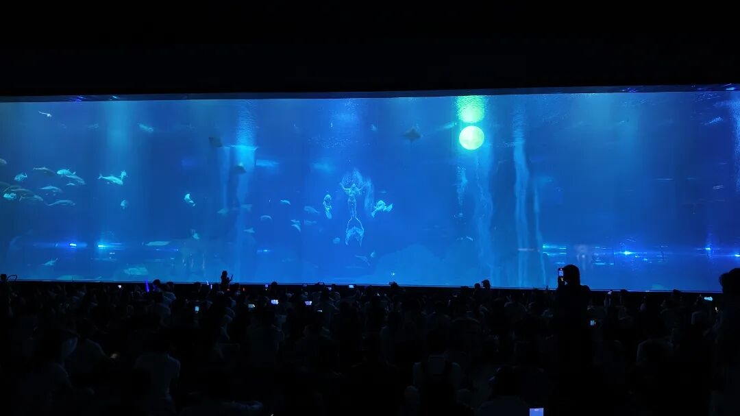 微信图片_2025-10-05_164910_888.jpg
