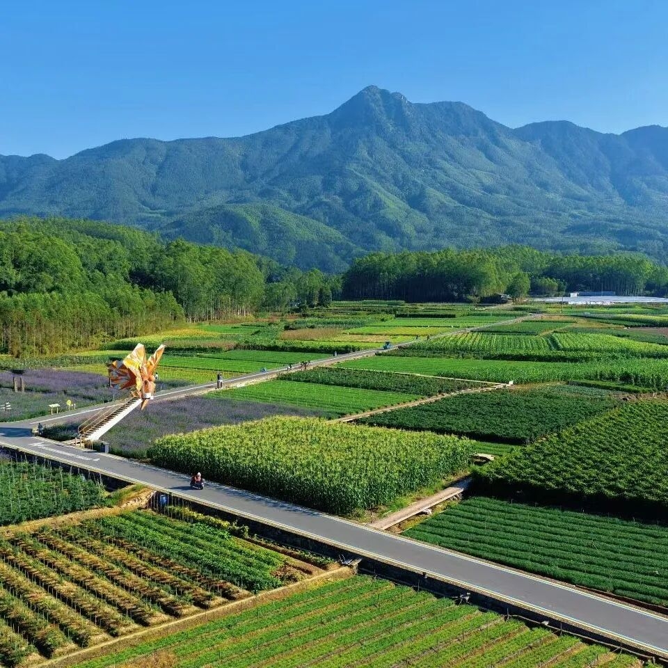 山水有约，一日尽览！多图直击带你玩转坂里