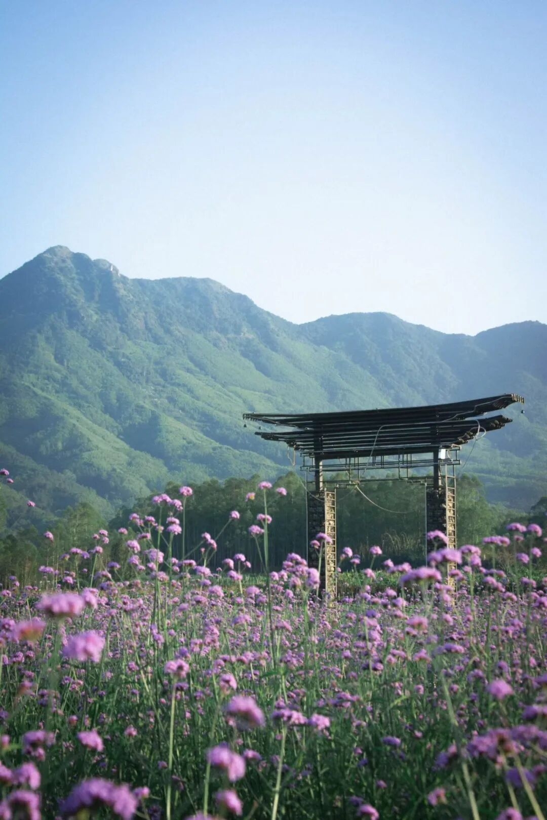 山水有约，一日尽览！多图直击带你玩转坂里