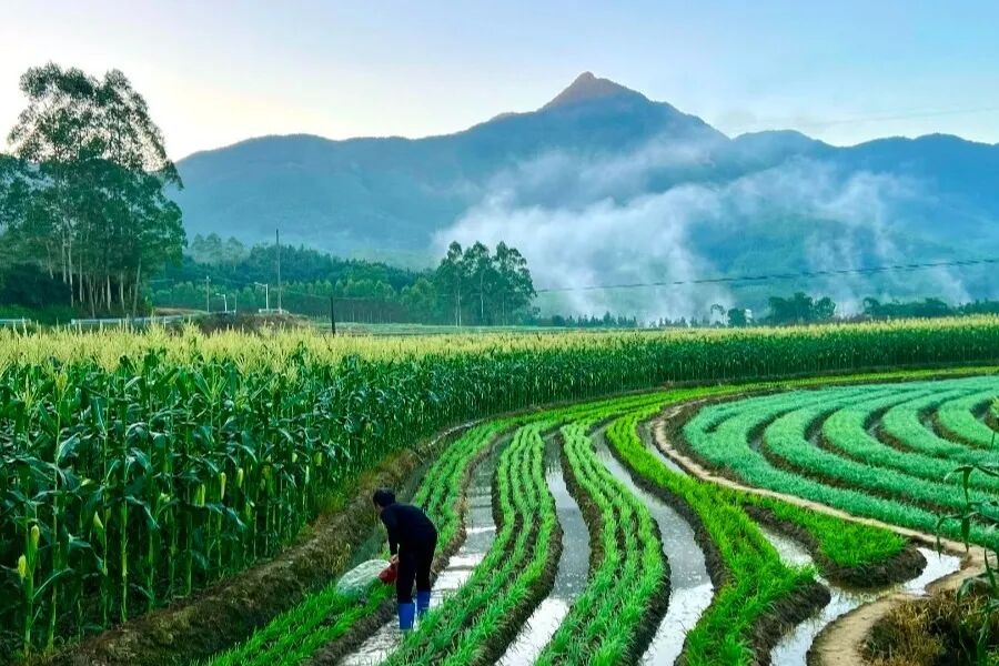 山水有约，一日尽览！多图直击带你玩转坂里