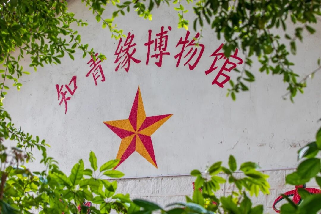 山水有约，一日尽览！多图直击带你玩转坂里