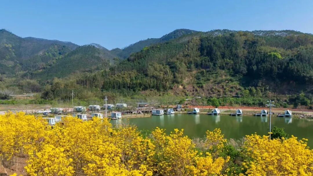 山水有约，一日尽览！多图直击带你玩转坂里