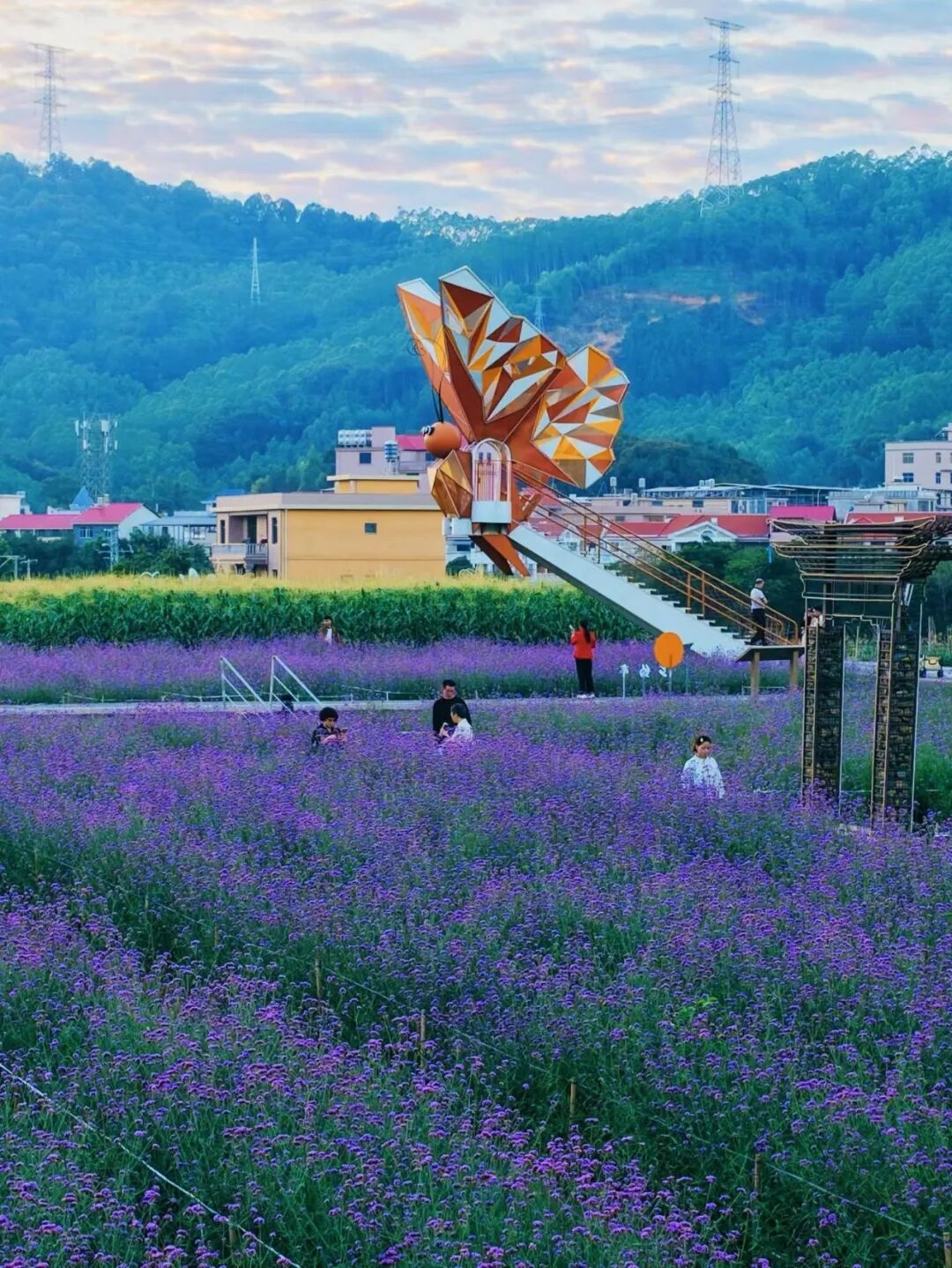山水有约，一日尽览！多图直击带你玩转坂里