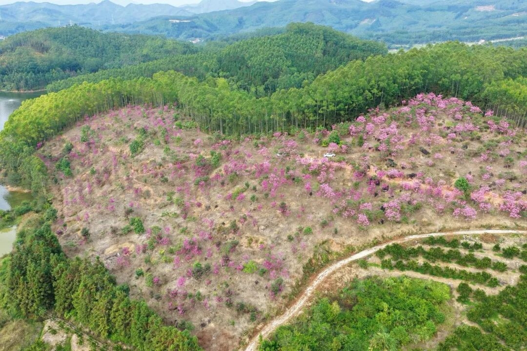 山水有约，一日尽览！多图直击带你玩转坂里