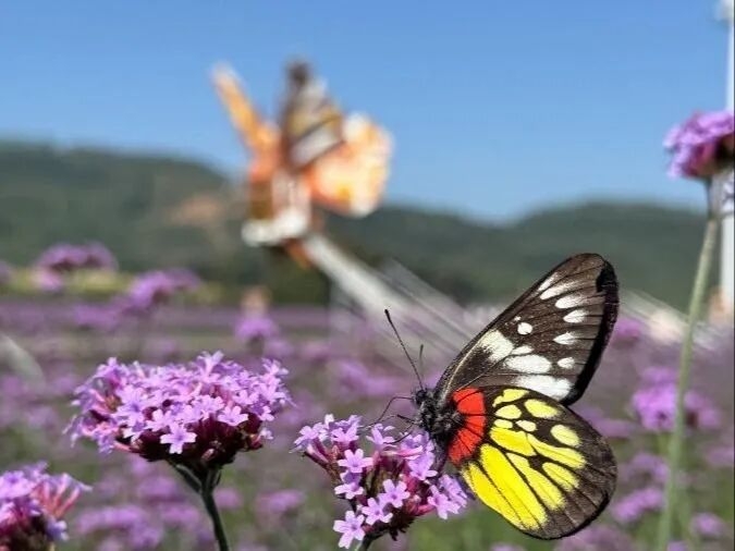 山水有约，一日尽览！多图直击带你玩转坂里
