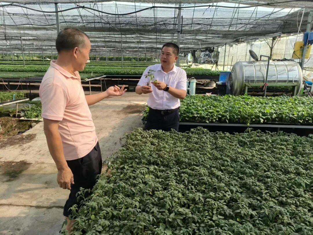 进村访民情·入户话发展丨坂里乡深入实施“斗阵来入户”工作机制，打通基层治理“最后一米”