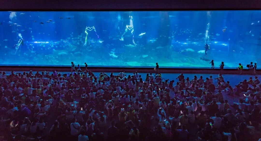 欢乐海洋大世界海底巨幕.jpg