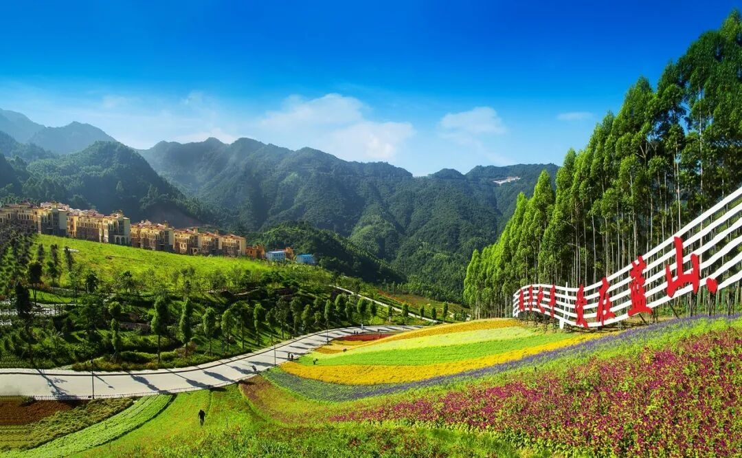 《 爱在蓝山》 毛豫娜 摄_s.jpg