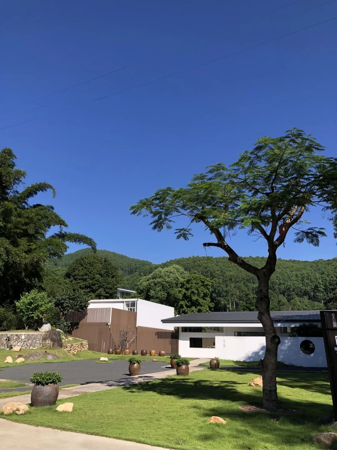 青年果宿2 (1).jpg