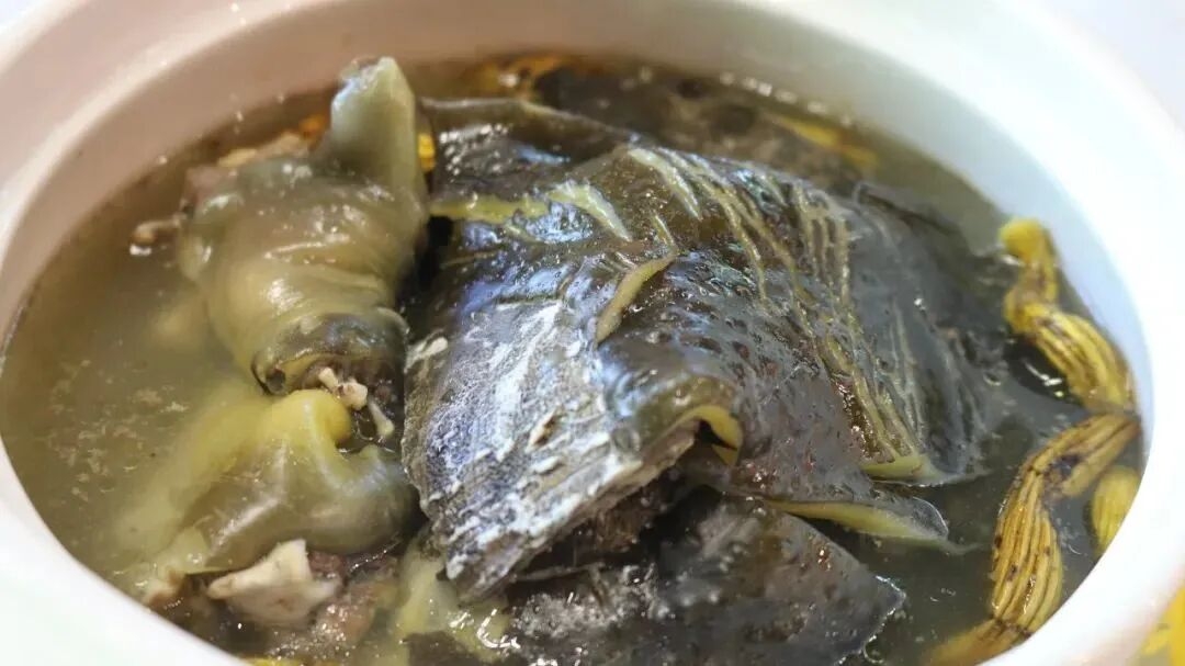 甲鱼番鸭汤.jpg
