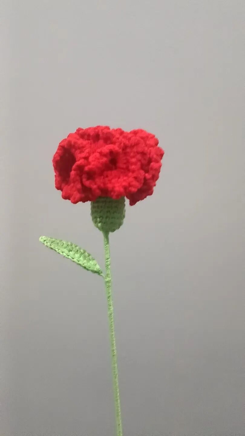 111.jpg