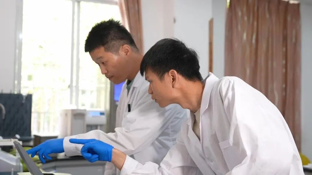 叶德练与学生在实验室里做实验(王雅鹏 摄)