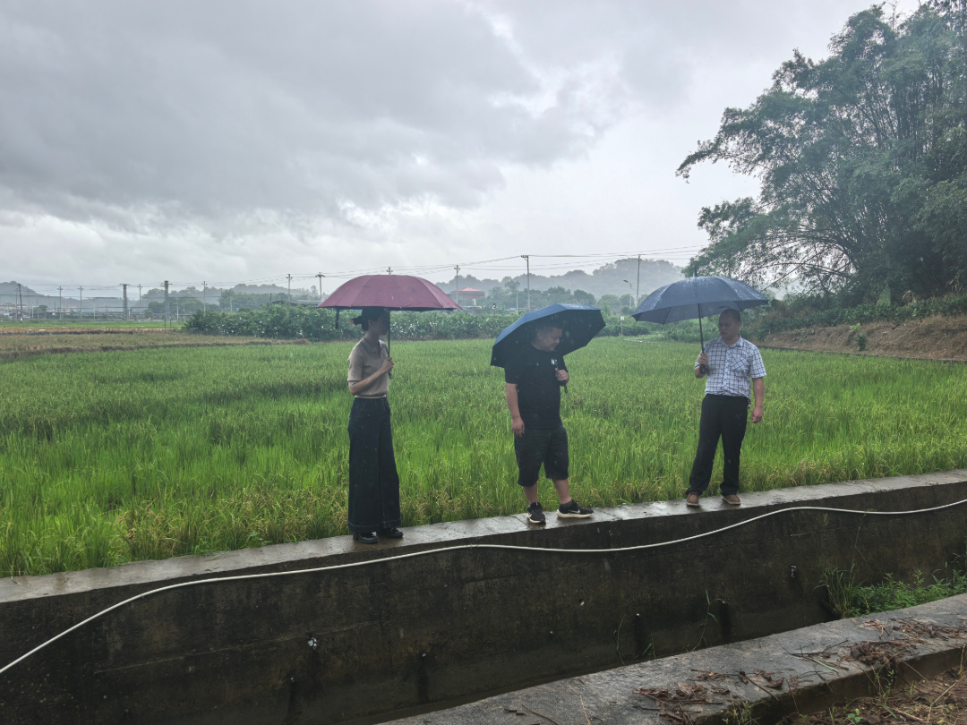 图片 1.png